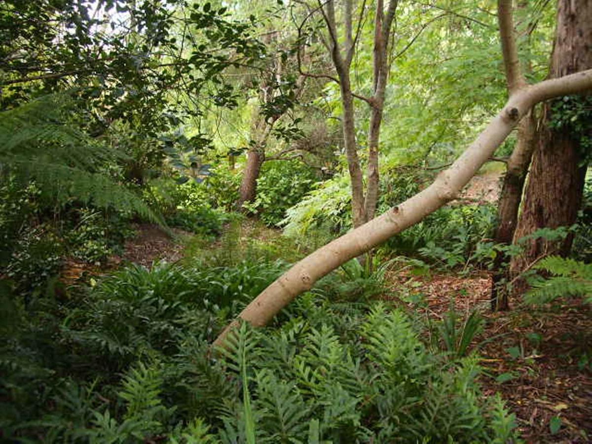 Hilltop Στέρλινγκ Εξωτερικό φωτογραφία